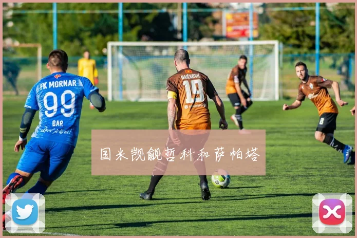 国米觊觎哲科和萨帕塔