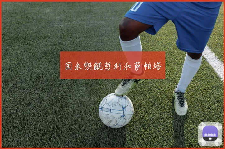 国米觊觎哲科和萨帕塔